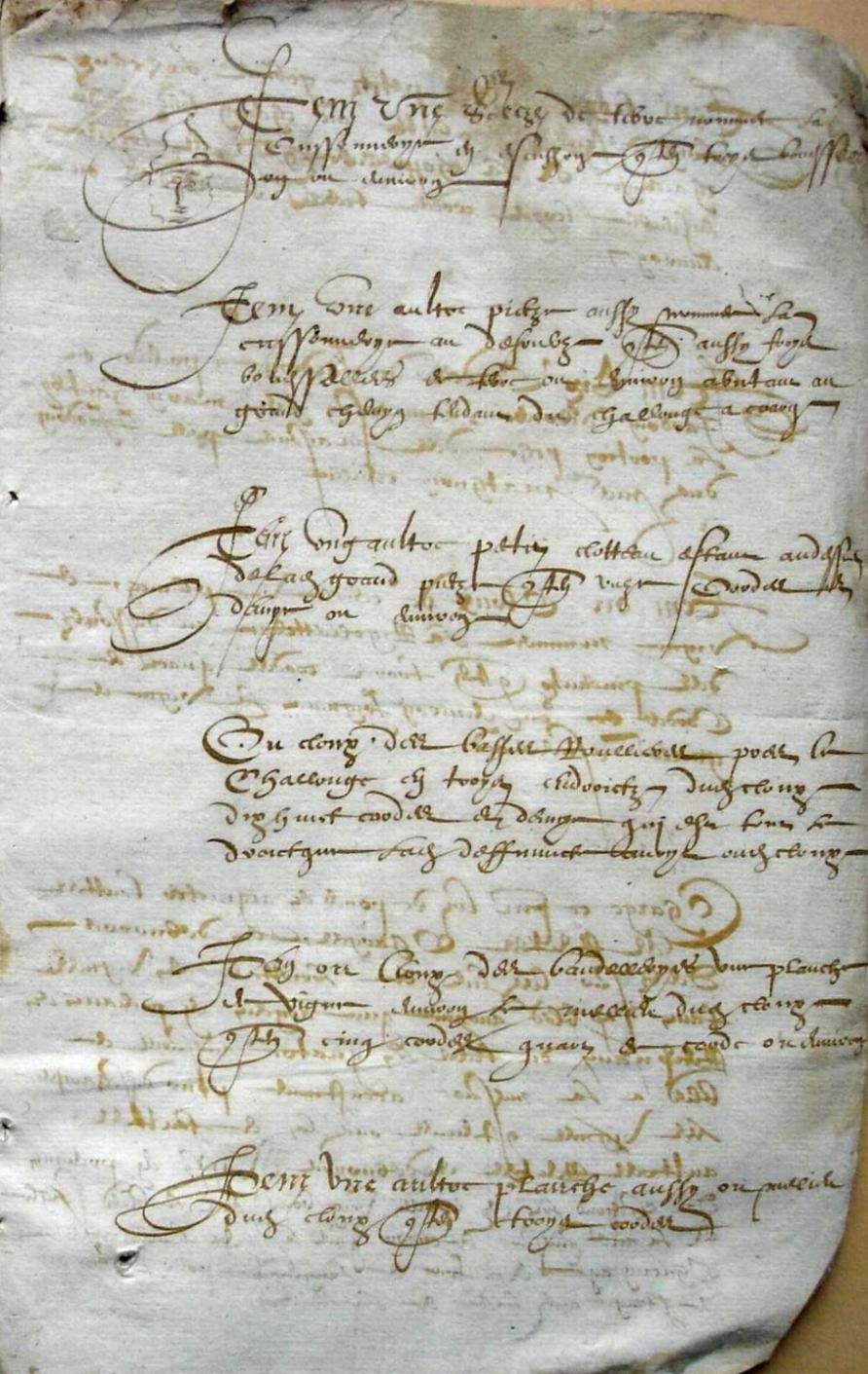 Thieurine_1589 (3).JPG